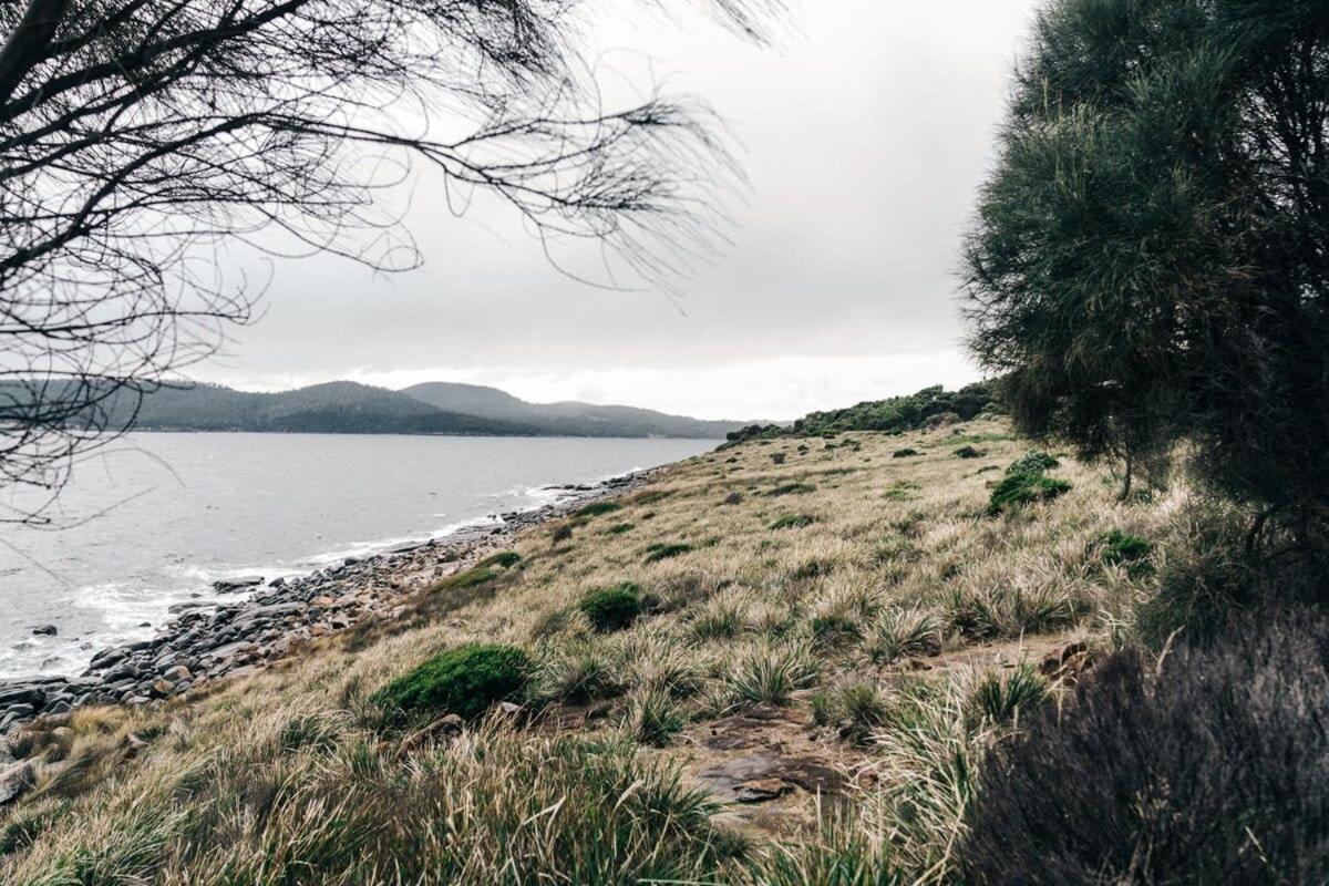 Siren Tasmania