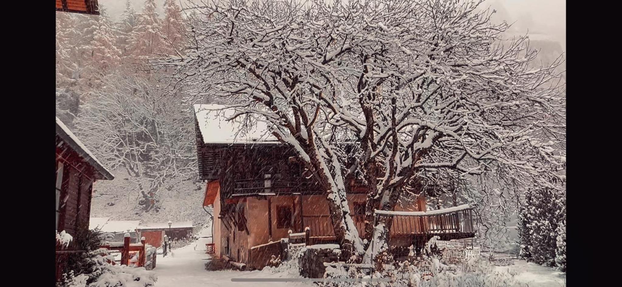 Casalpina Cozy chalet