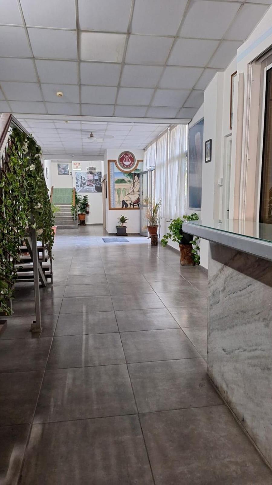 TERPSICHORE Holiday Apts