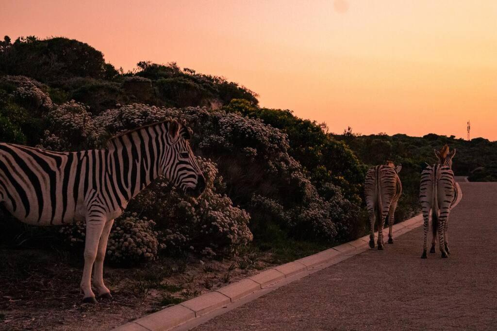 Romansbaai Oceanview Retreat