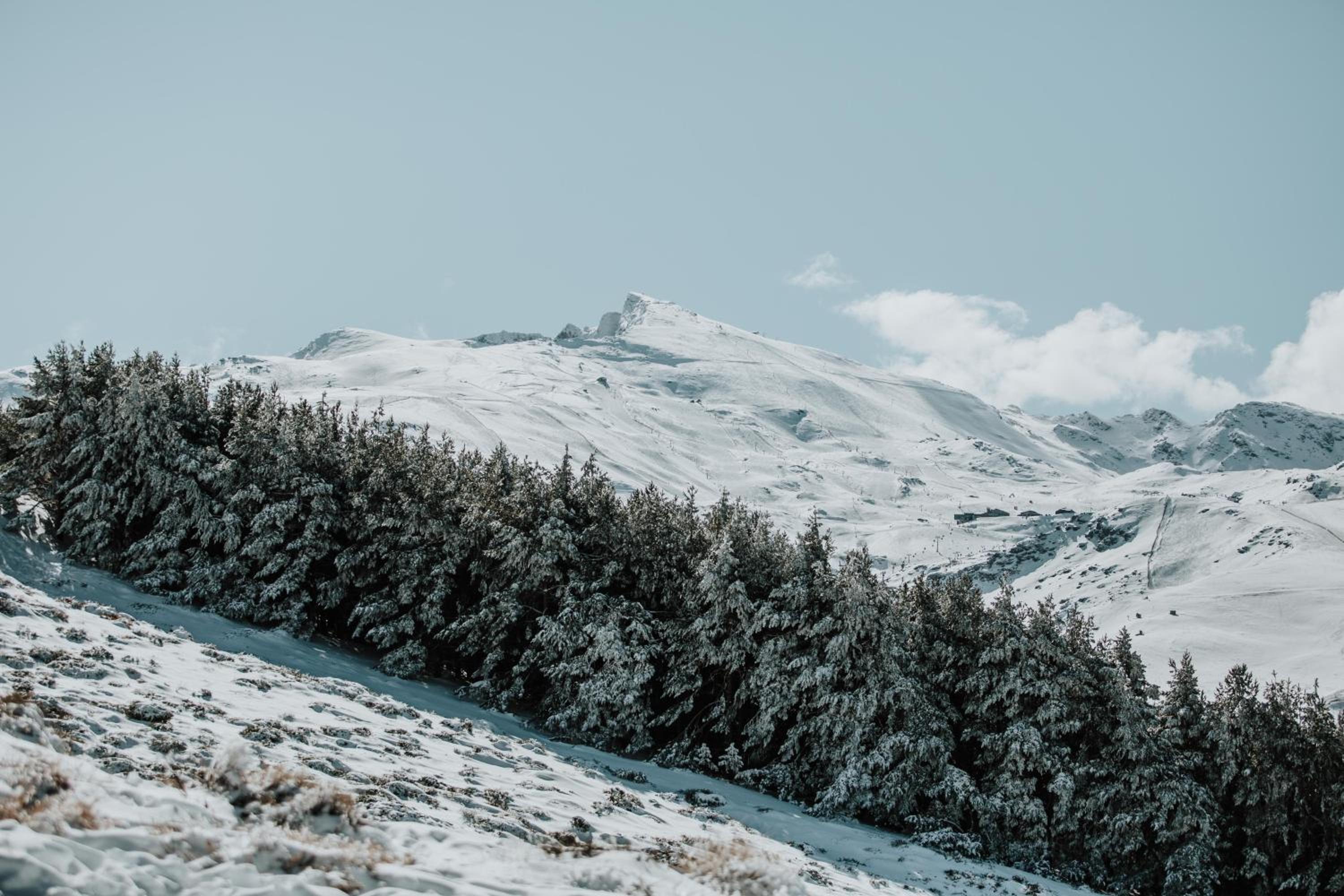 Photo 32