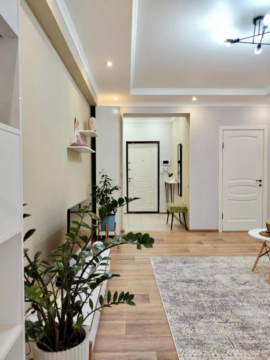 Comfortable apartments