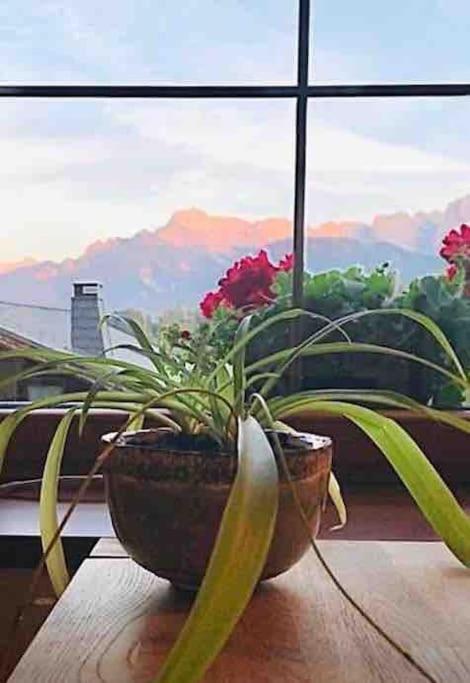 La casa gialla view 3