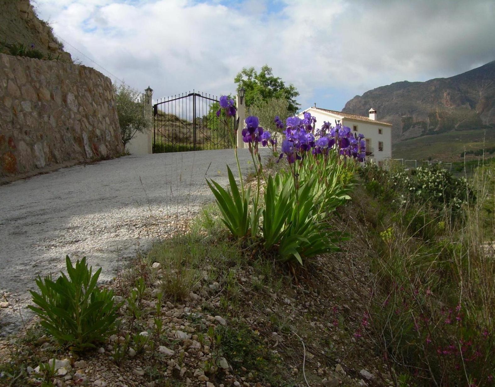 Cortijo El Paso