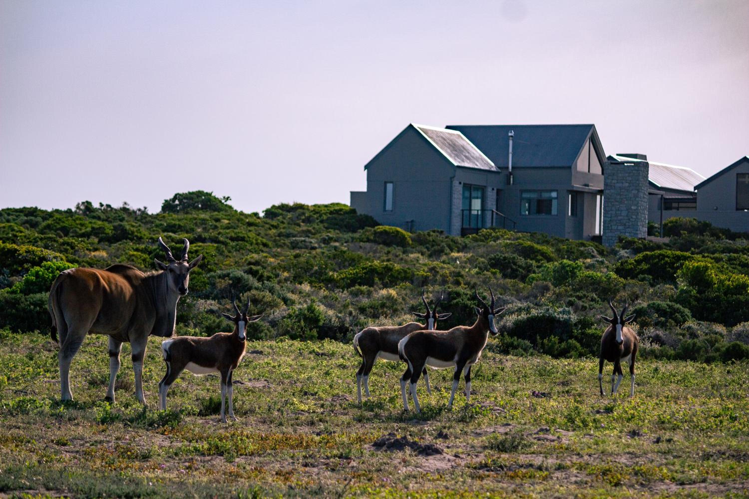 Photo 40