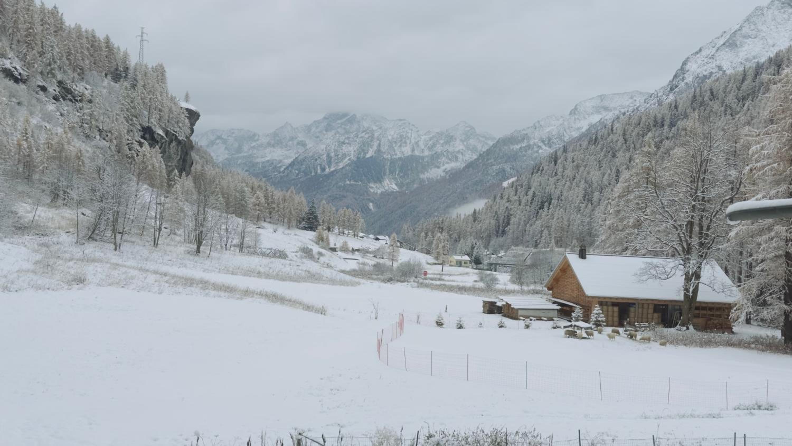 Casalpina Cozy chalet