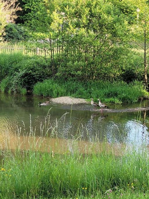 Ferienwohnung Landidyll, Whirlpool, Minipigs, Ponys, Familien