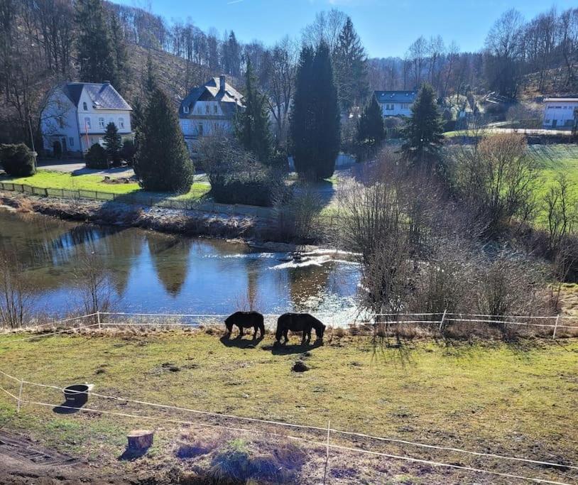 Ferienwohnung Landidyll, Whirlpool, Minipigs, Ponys, Familien