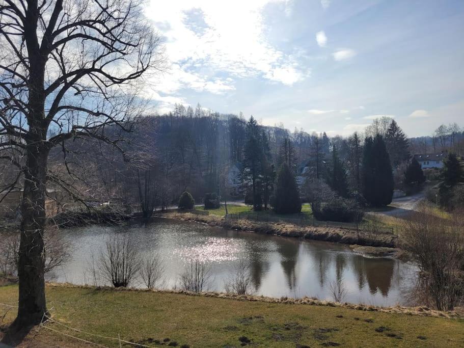 Ferienwohnung Landidyll, Whirlpool, Minipigs, Ponys, Familien