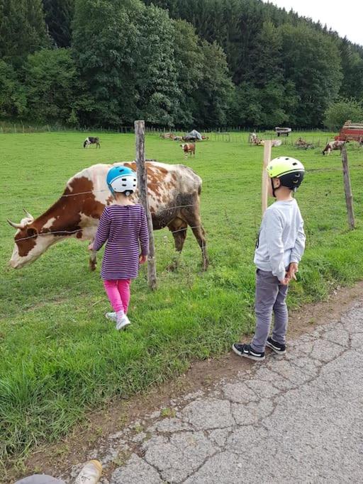 Ferienwohnung Landidyll, Whirlpool, Minipigs, Ponys, Familien