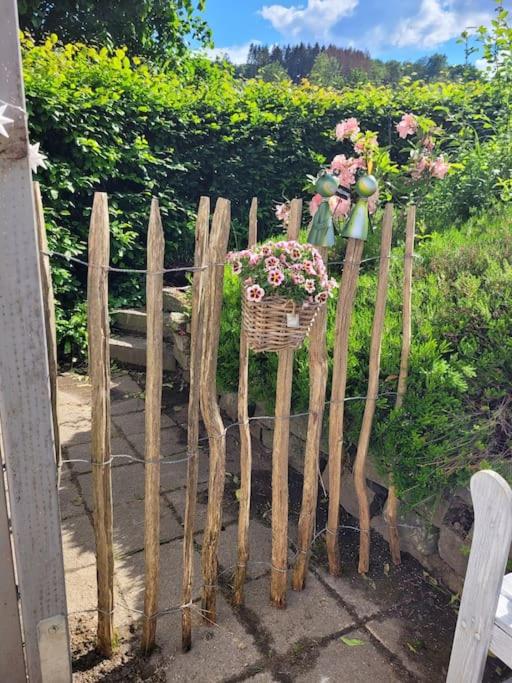 Ferienwohnung Landidyll, Whirlpool, Minipigs, Ponys, Familien