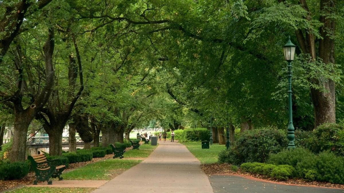 Serpentine Park on View