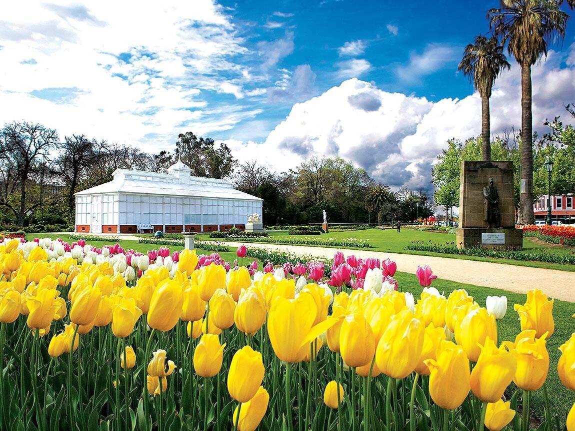Serpentine Park on View