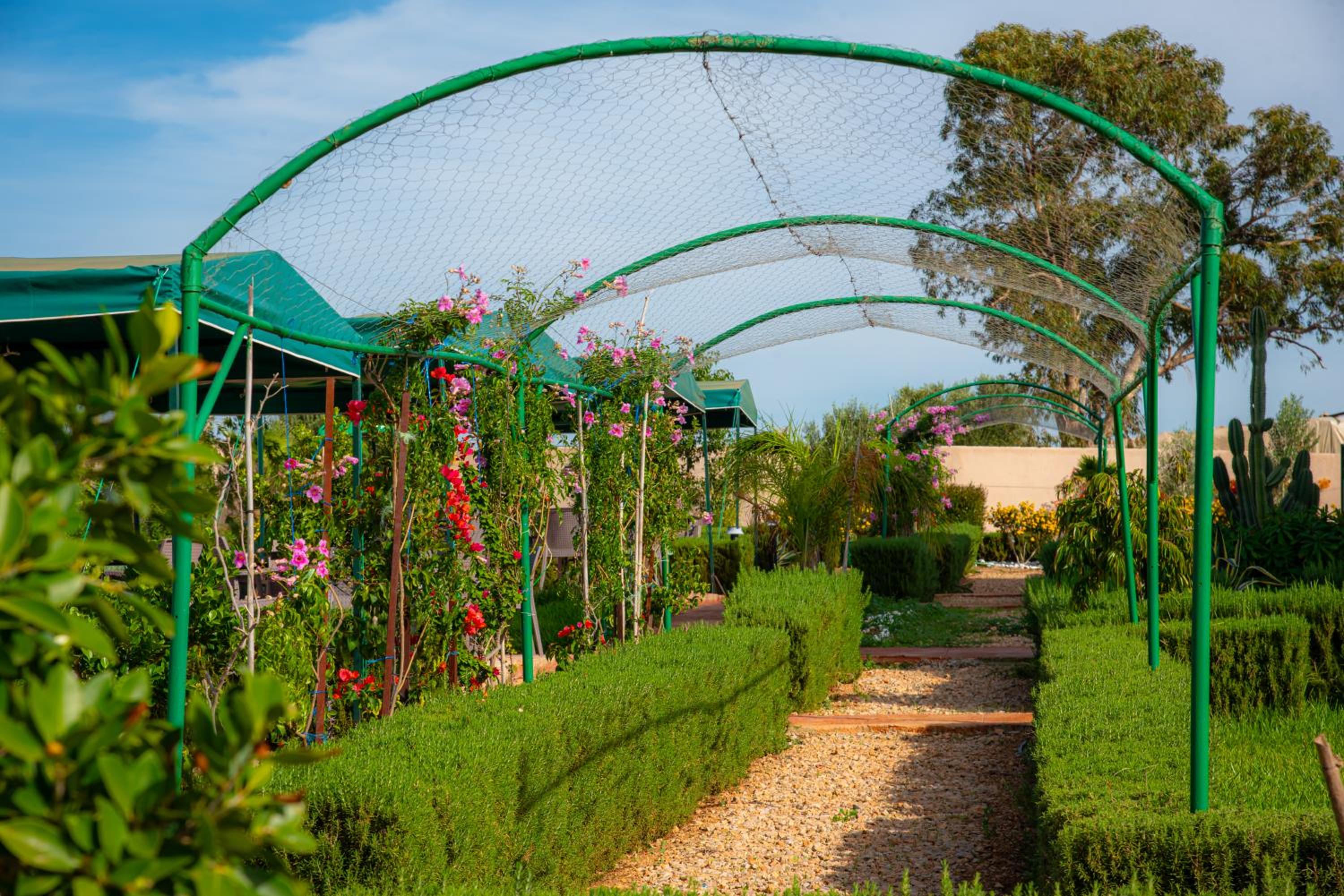 Ferme d'hôtes Bladna Garden view 3