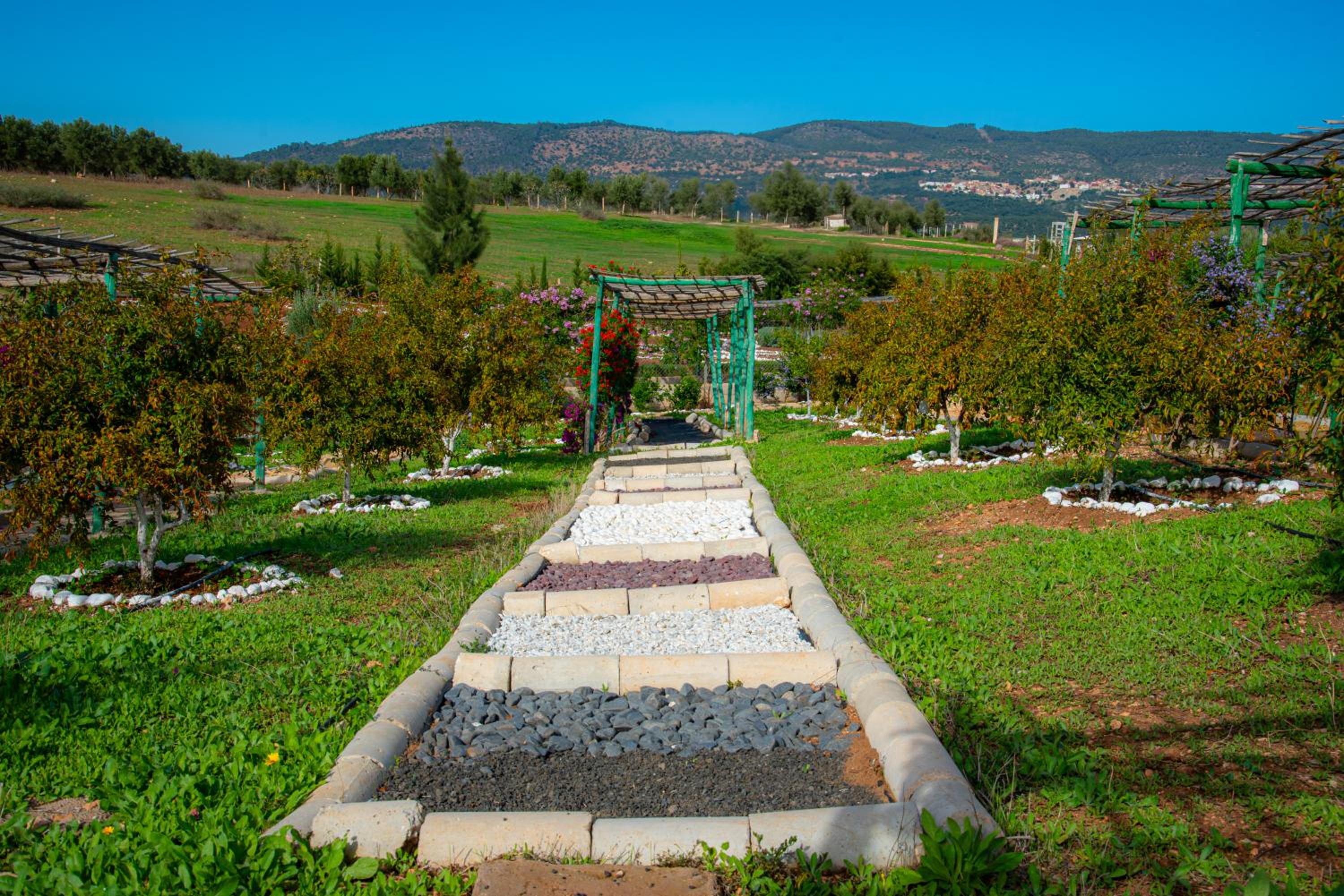 Ferme d'hôtes Bladna Garden view 2