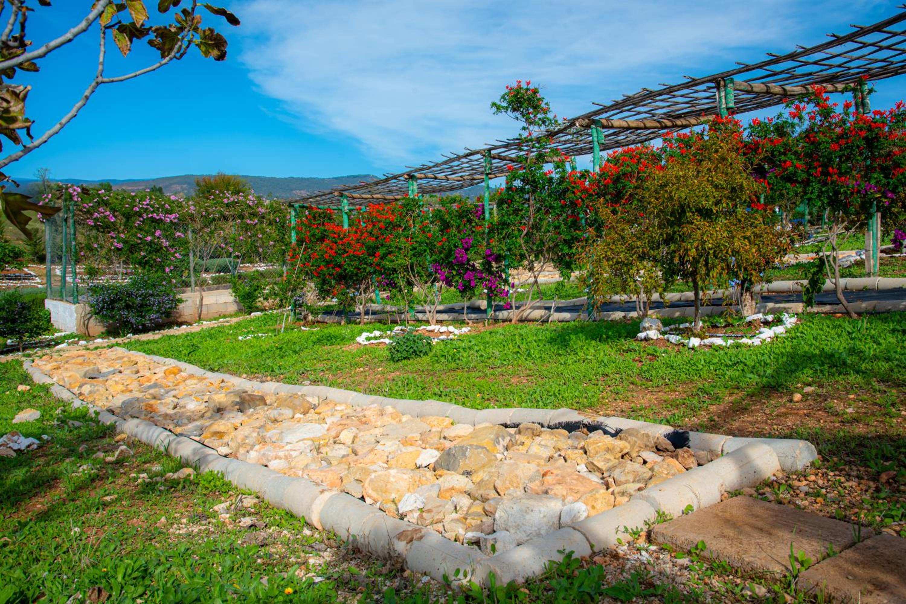 Ferme d'hôtes Bladna Garden view 4