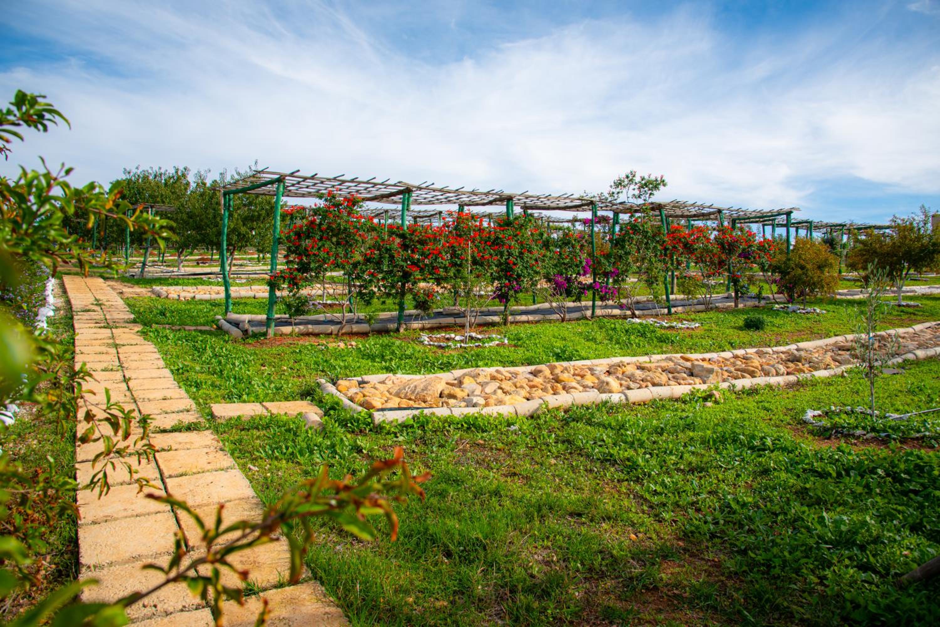 Ferme d'hôtes Bladna Garden view 5