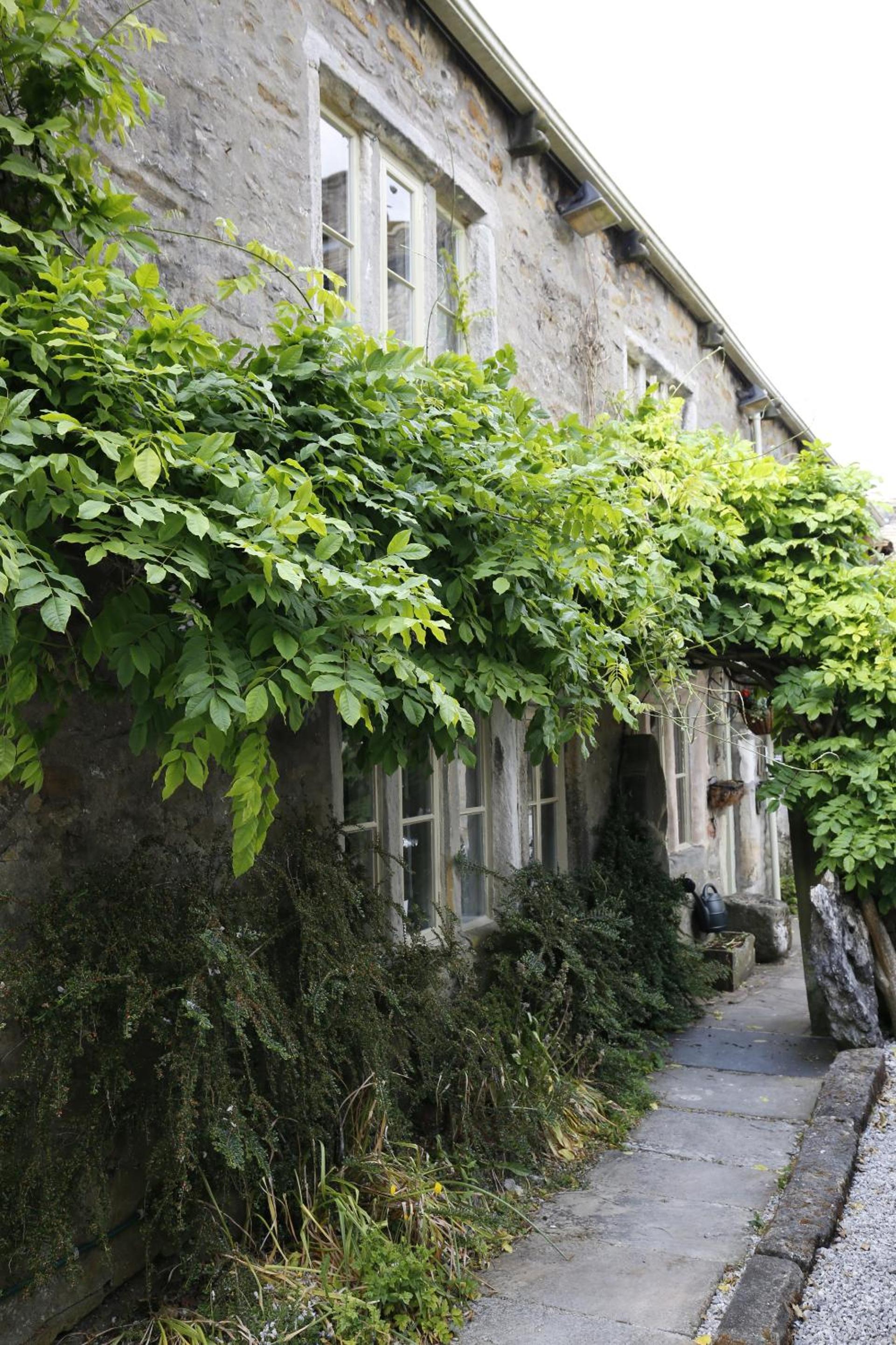 Photo 18