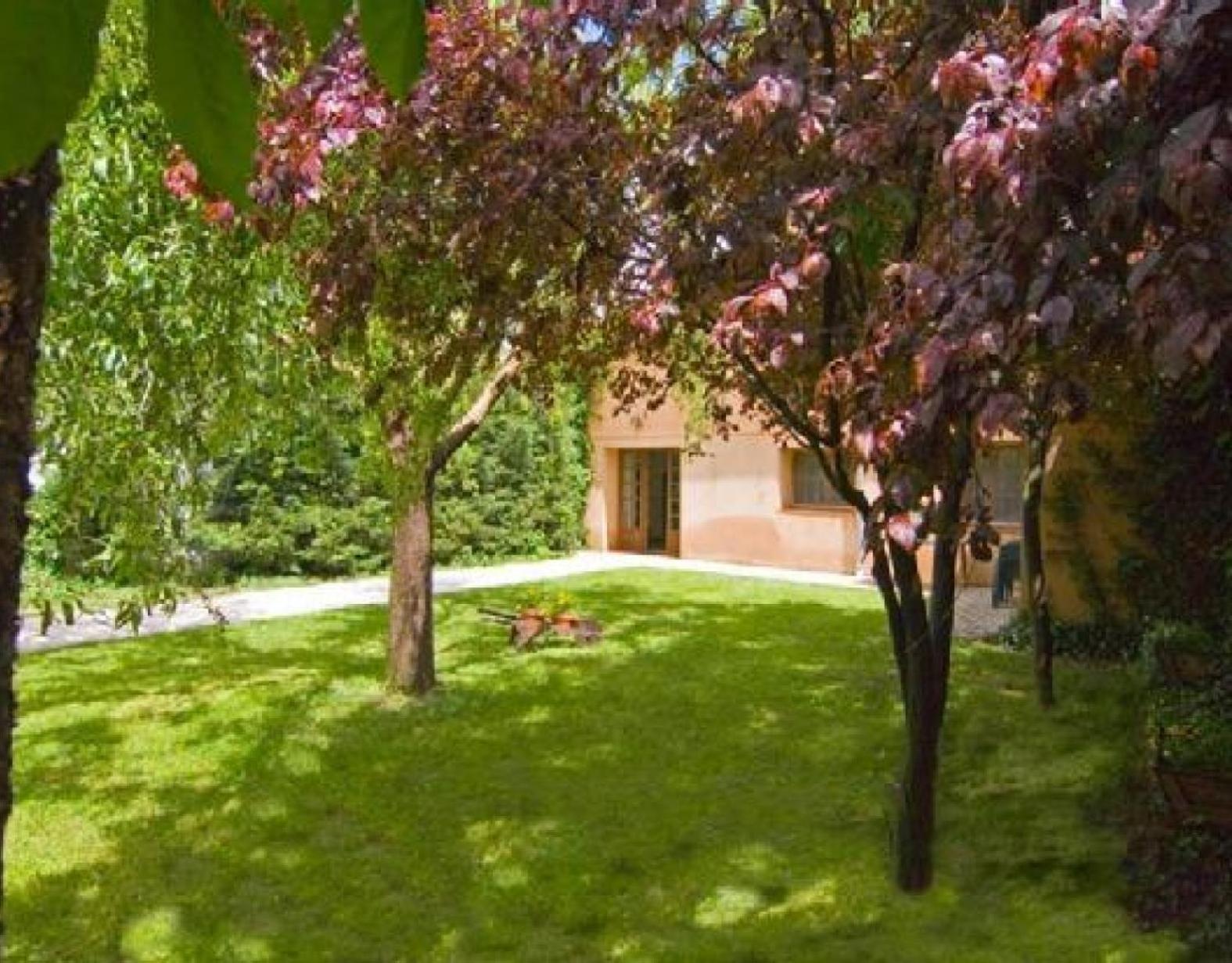 El Molino De Nieva view 3