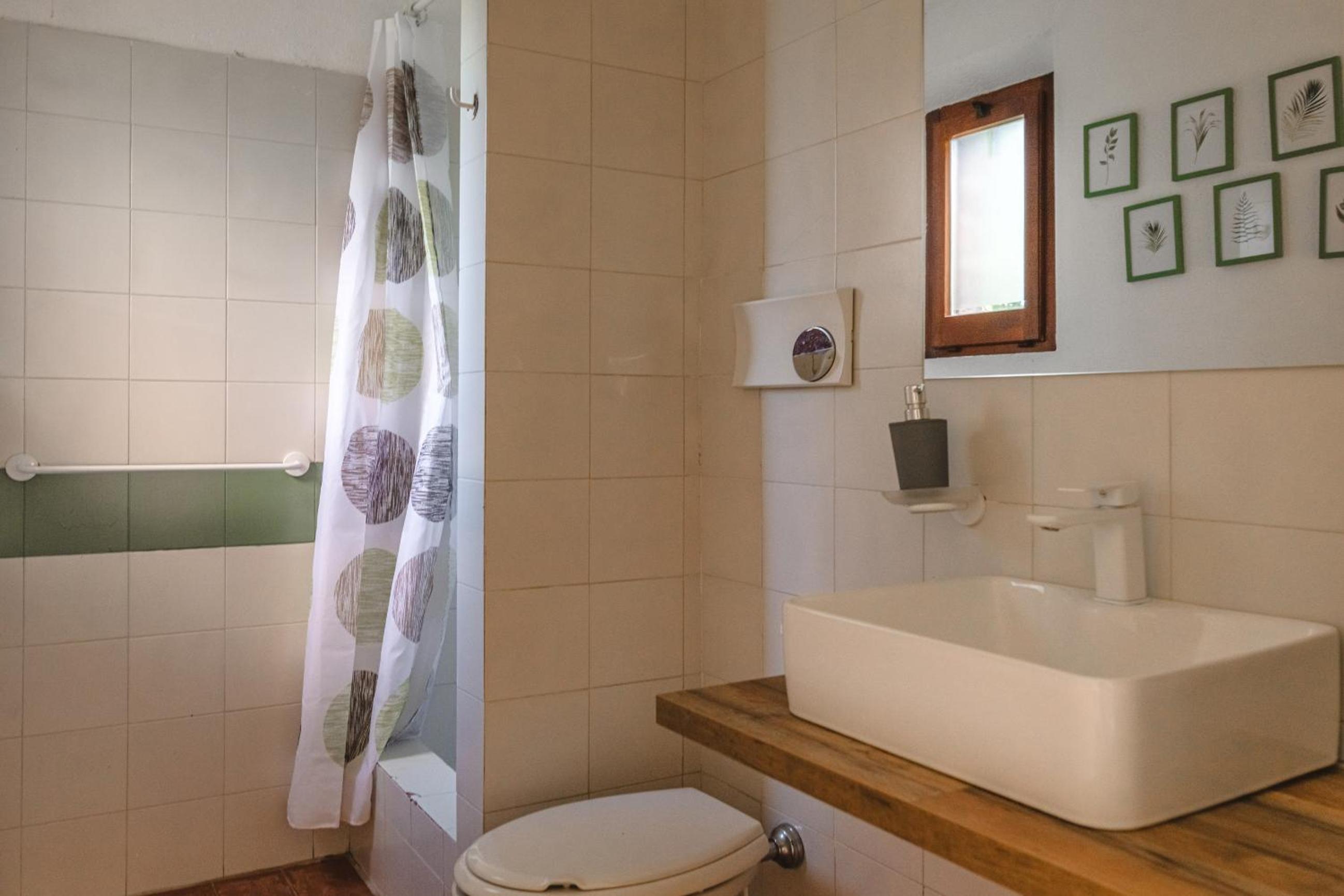 Podere Mencoini, stylish villa with private pool and olive garden