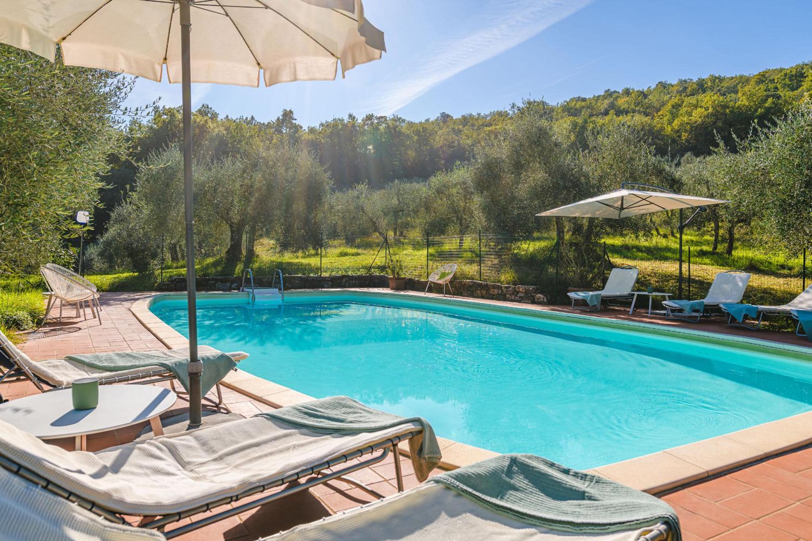 Podere Mencoini, stylish villa with private pool and olive garden