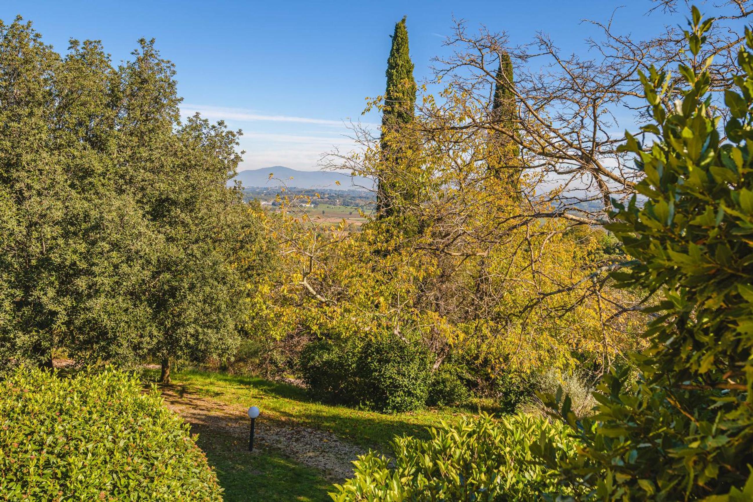 Podere Mencoini, stylish villa with private pool and olive garden