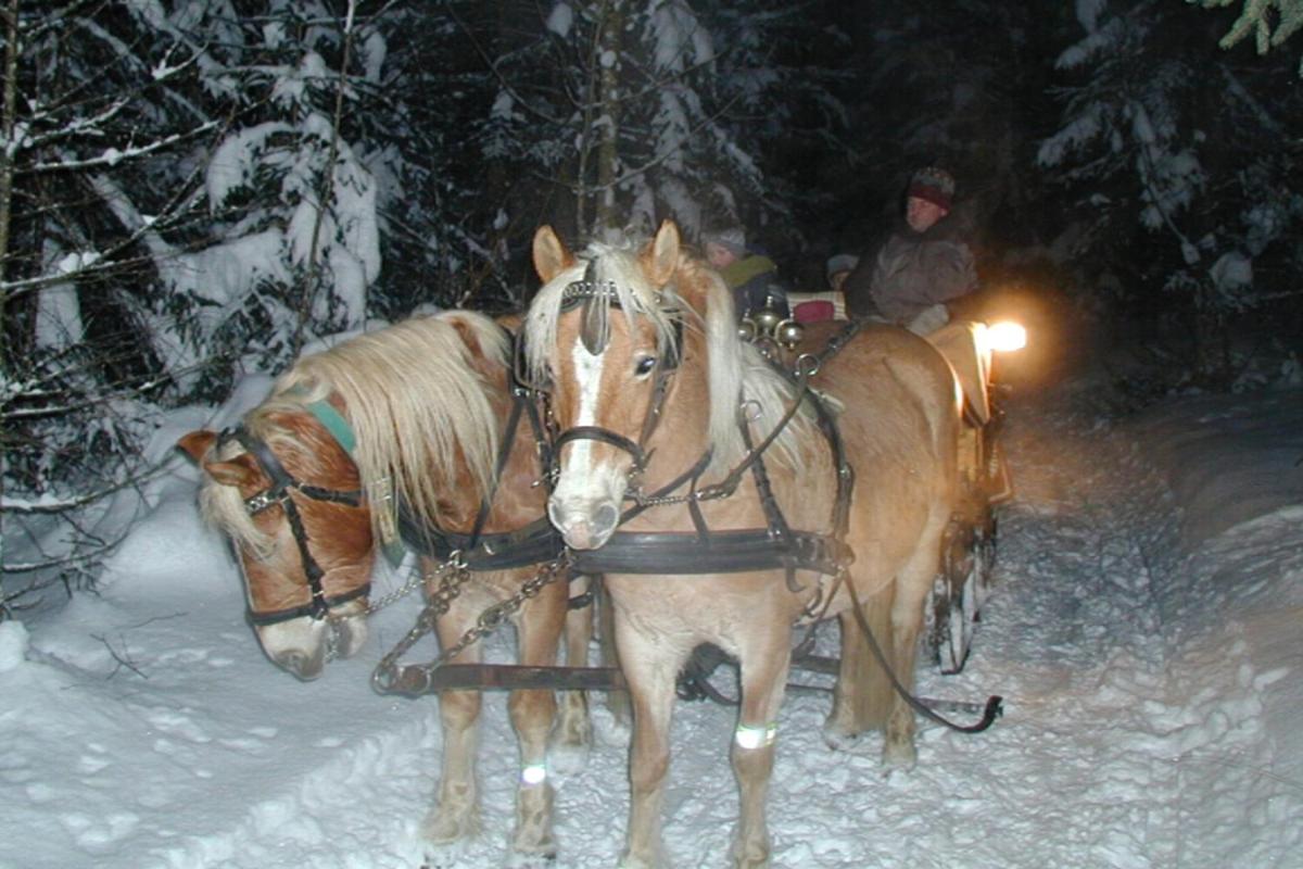 Pension Reiterhof Aigner