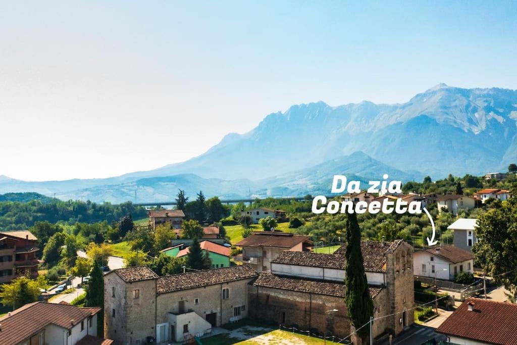 Da zia Concetta, casa vacanze immersa nel verde view 5
