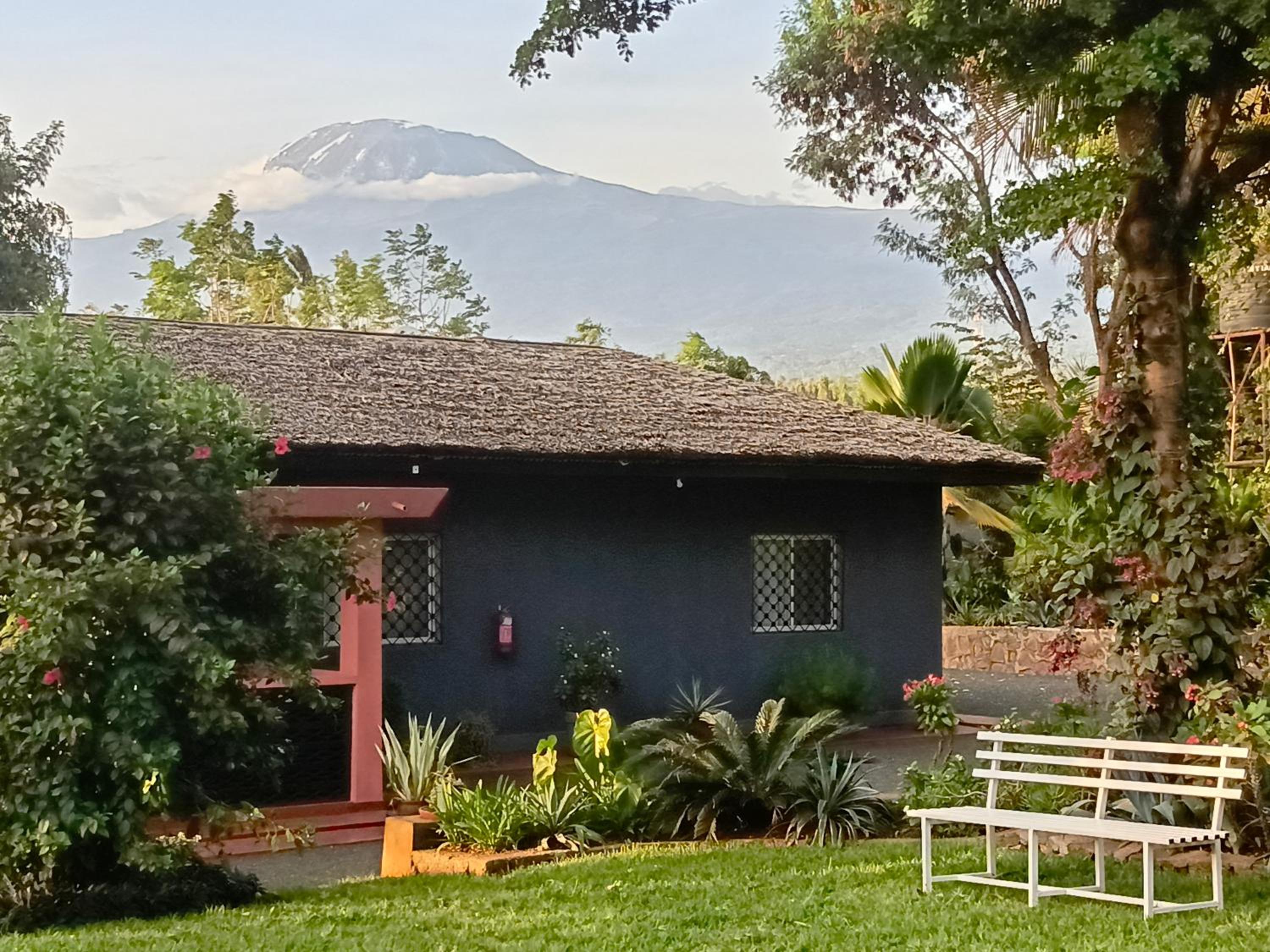 Rudi House
