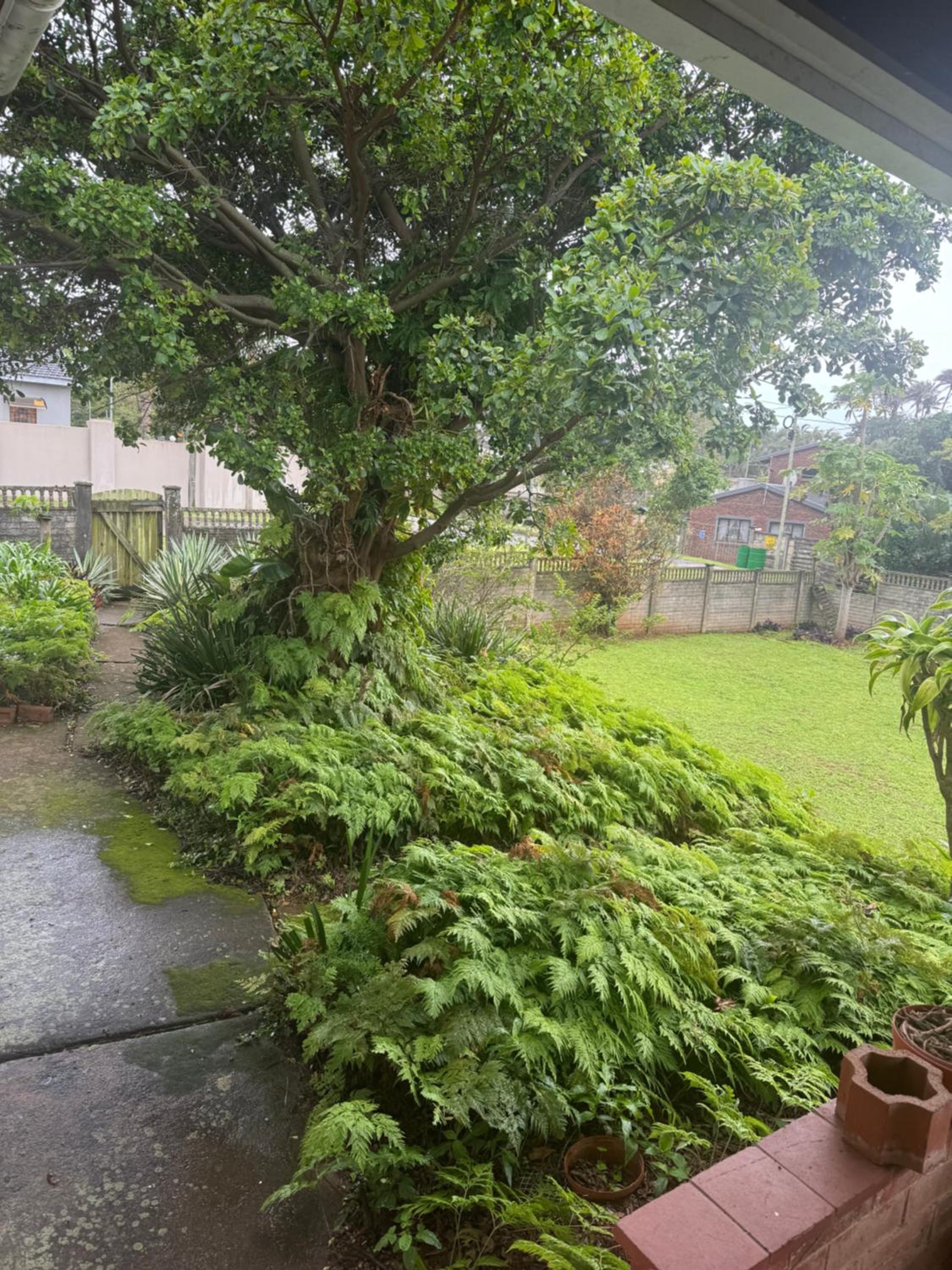 Warners Guesthouse view 4