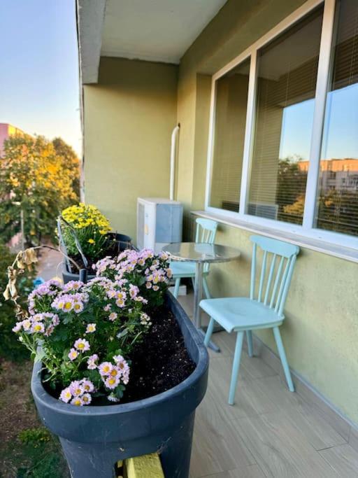 Old Town Bamboo Tree 2 Bedroom