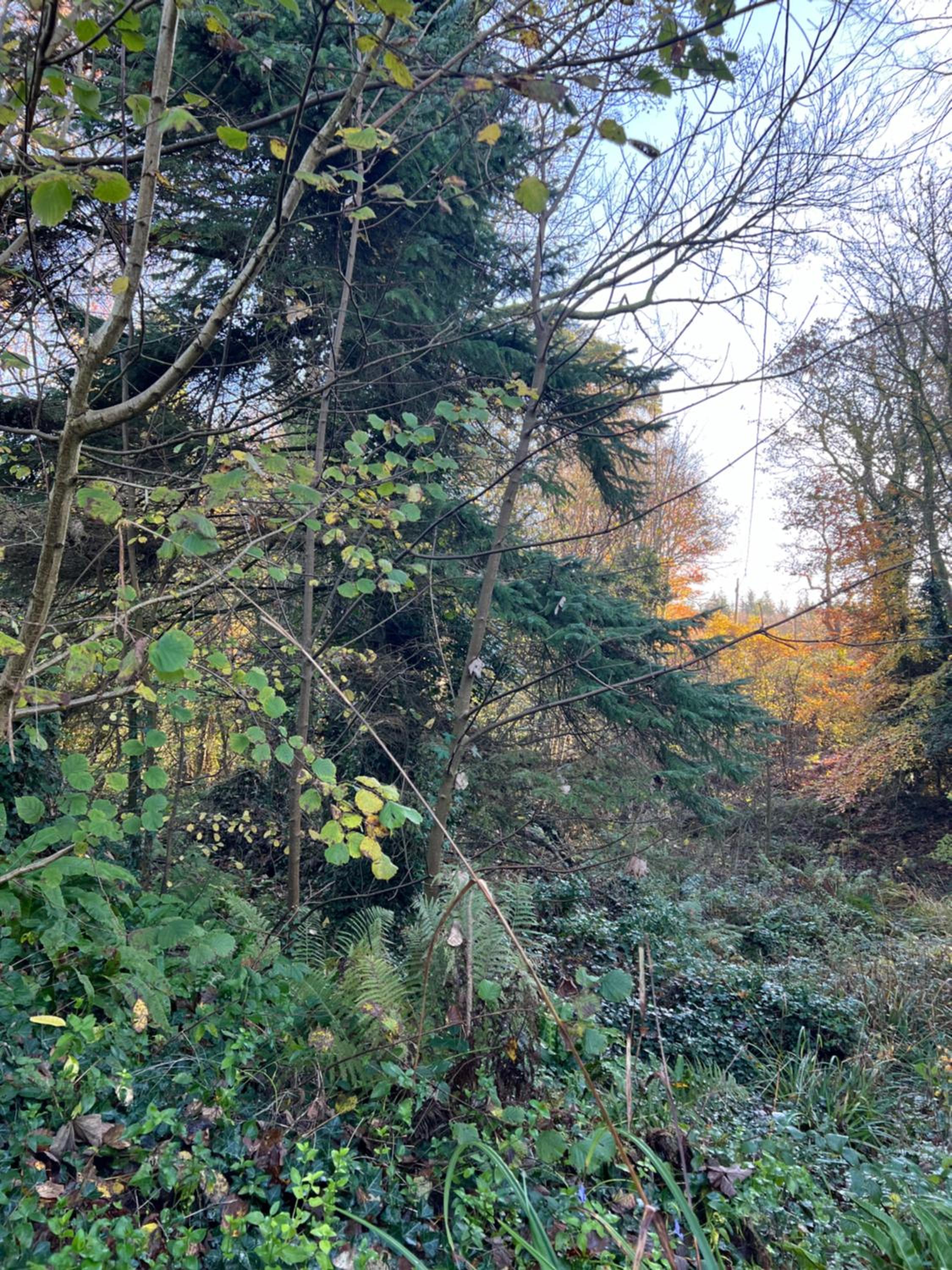 Photo 10