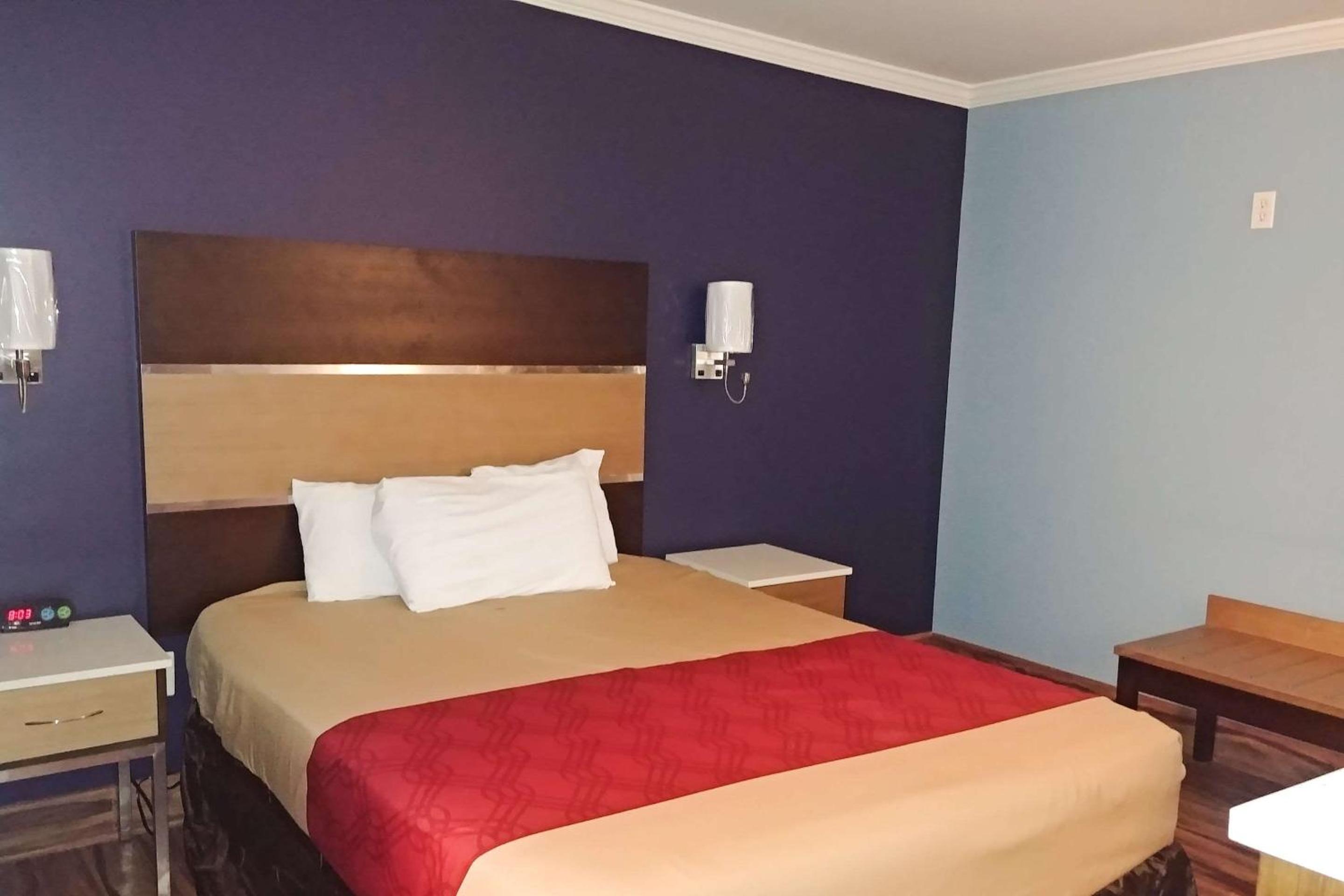 Econo Lodge Milldale - Southington - Property Image 32