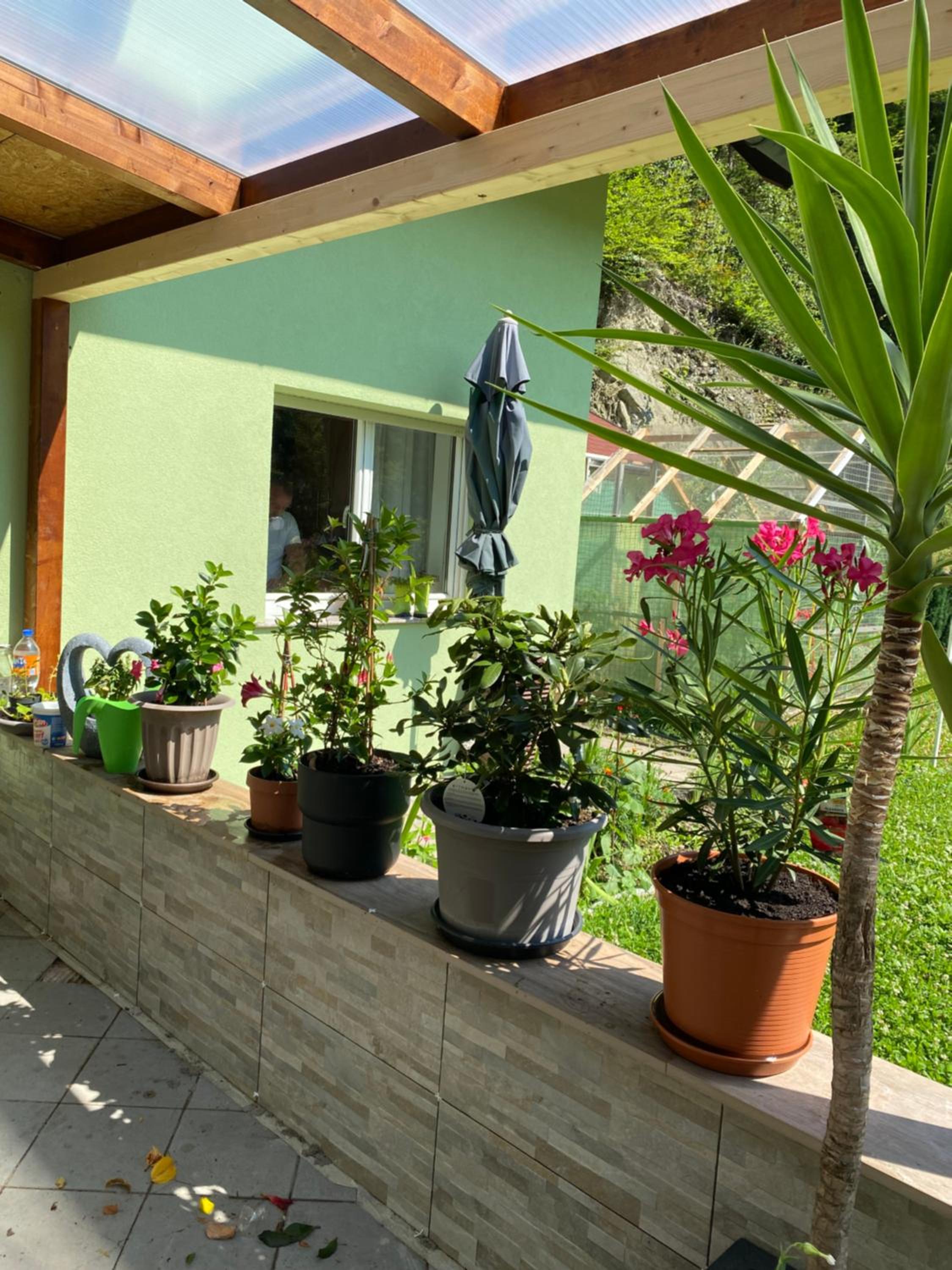 Privat Zimmer Sanela