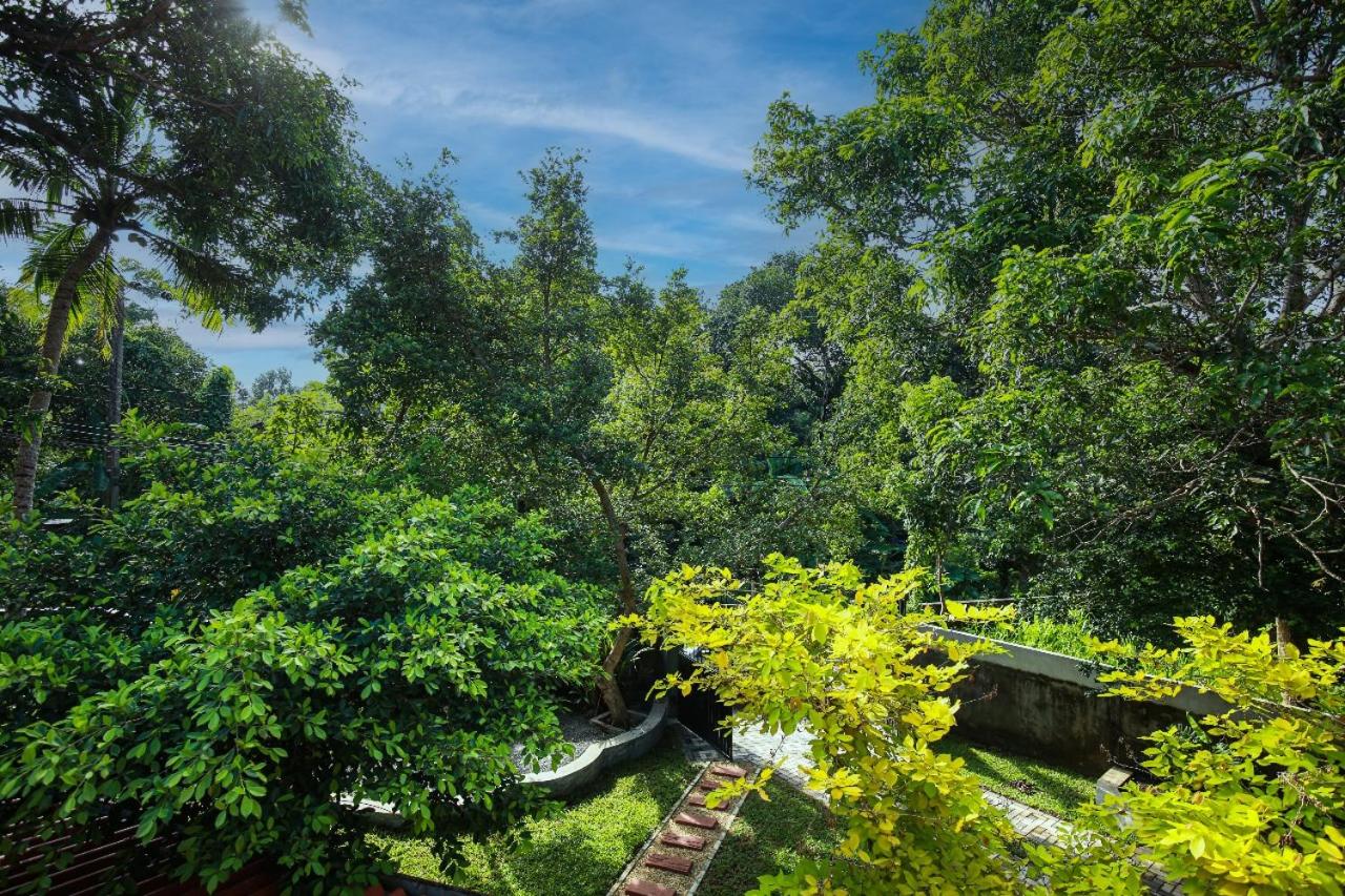 Nature Shades Villa view 5