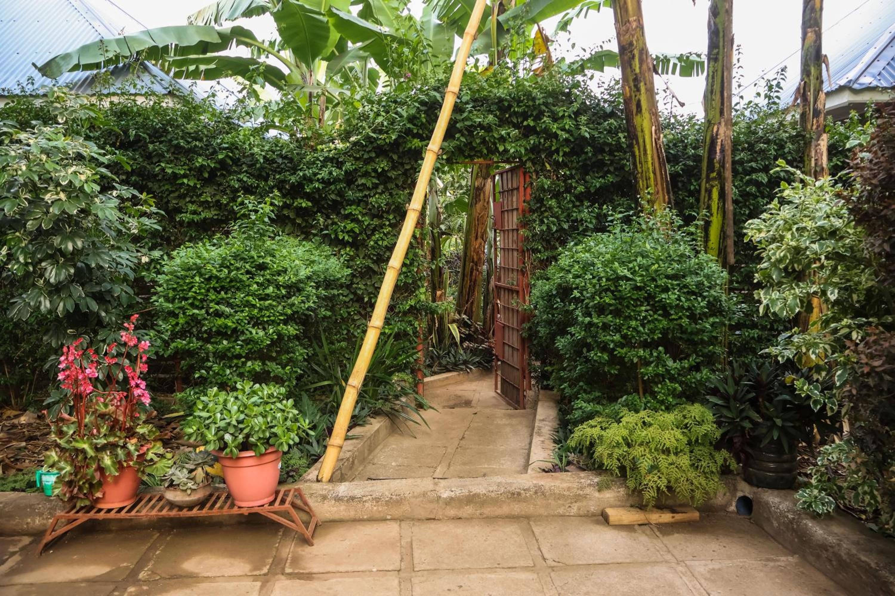 Photo 71