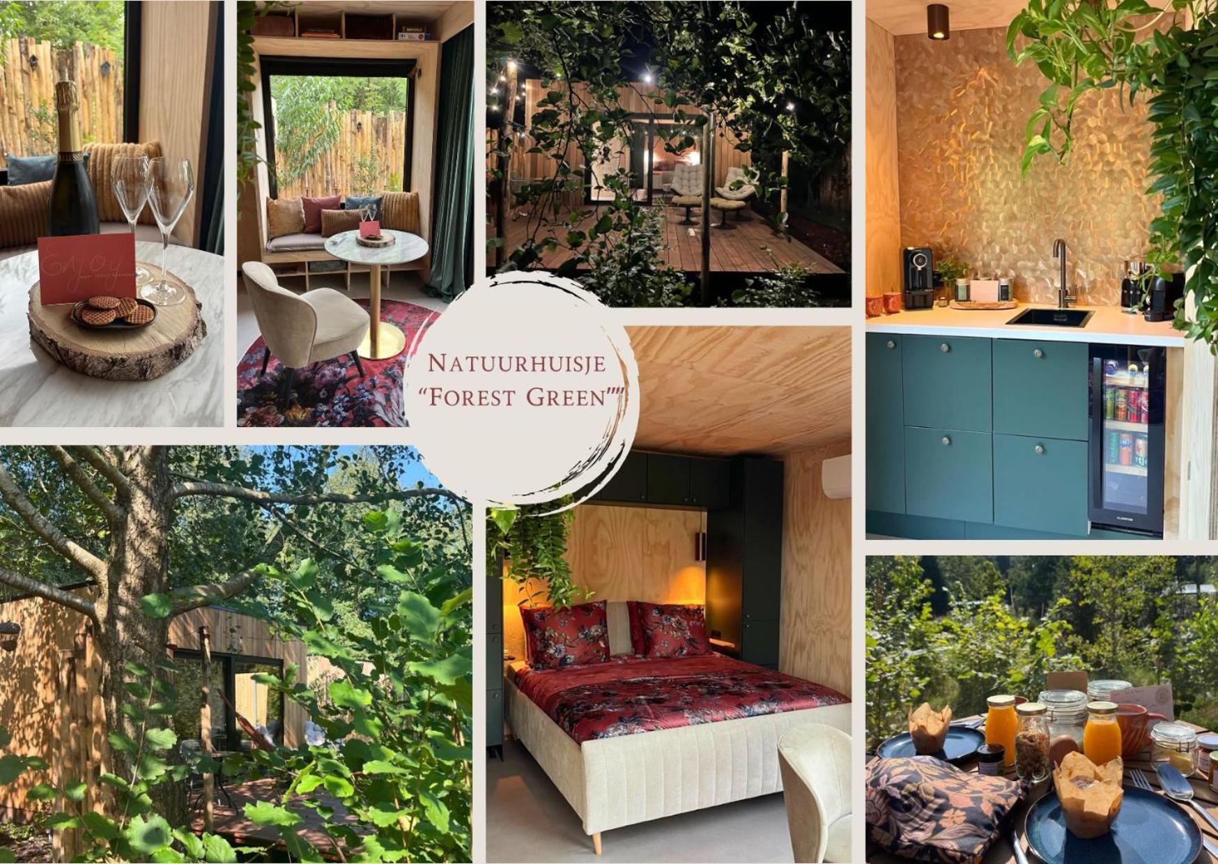 Natuurhuisjes Westerwolde, Tiny House & Privé Wellnesstuin