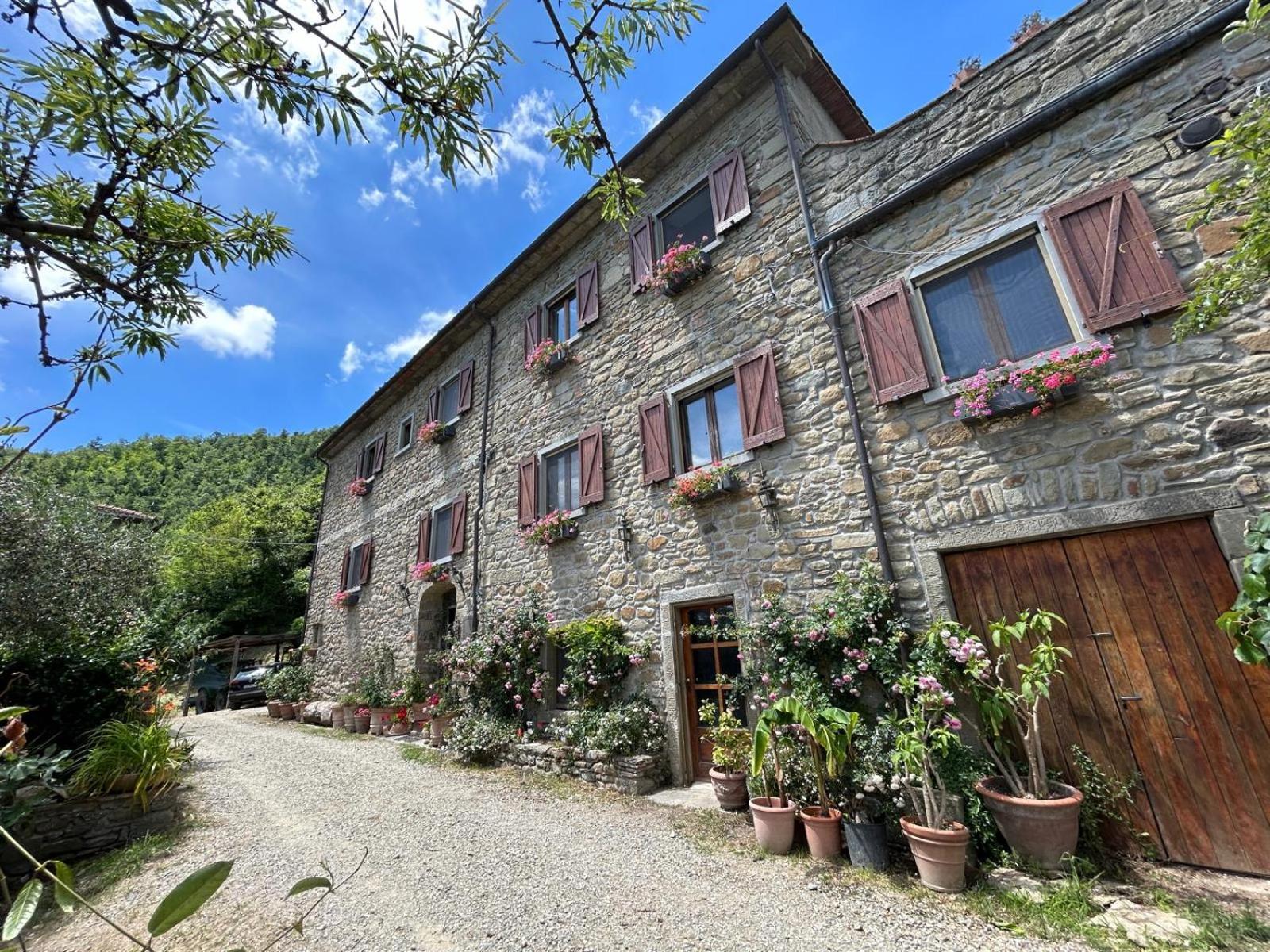 Il Castellare con alpaca