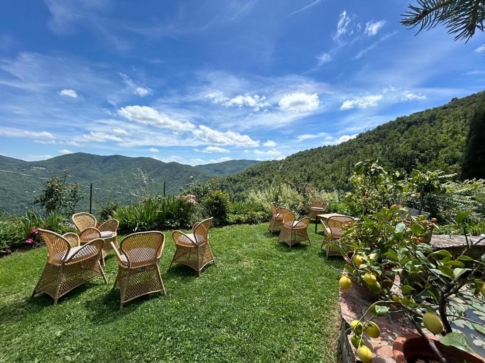 Il Castellare con alpaca photo 4