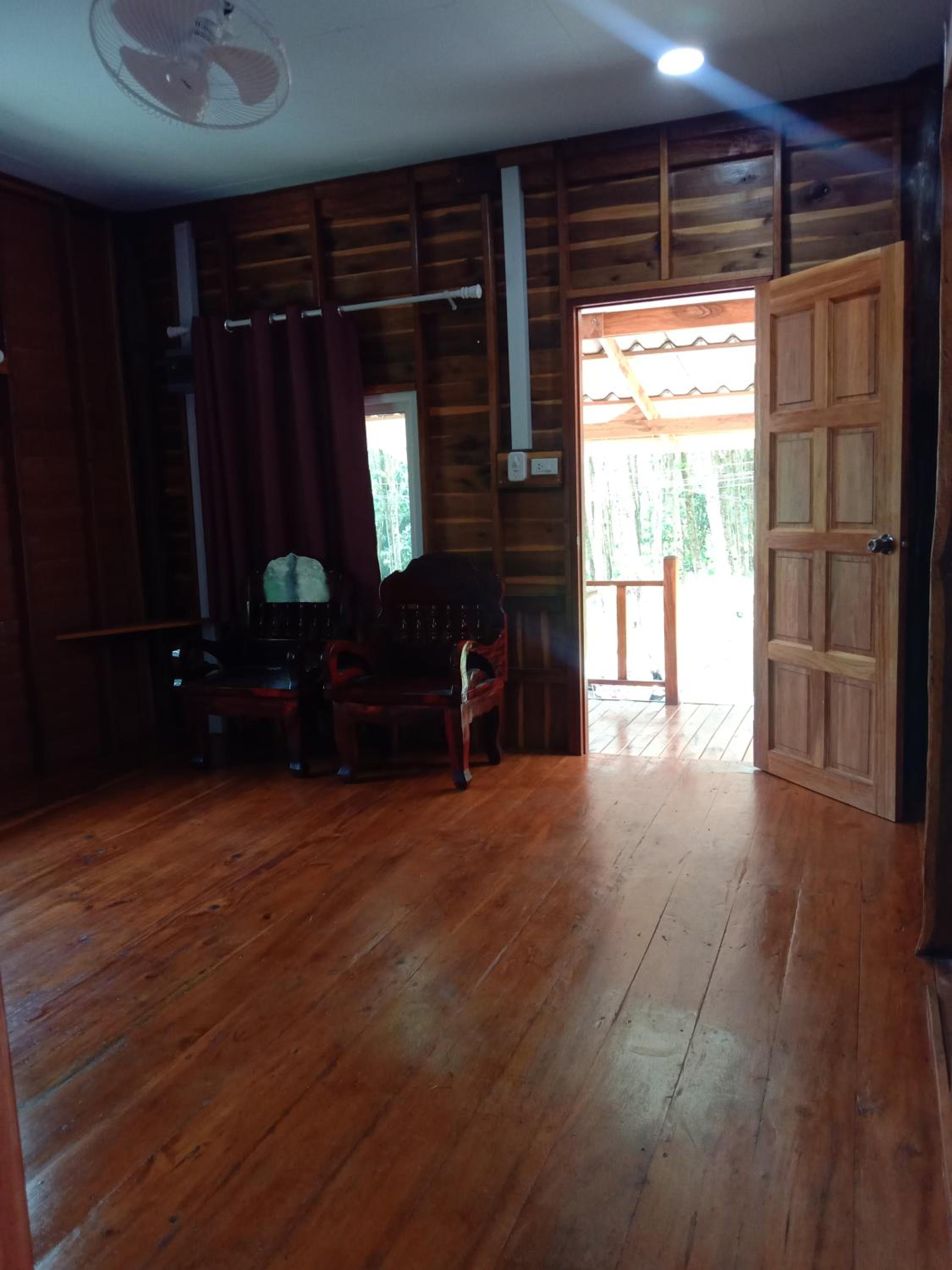 Photo 42