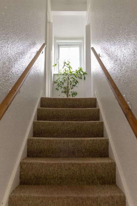 Photo 52