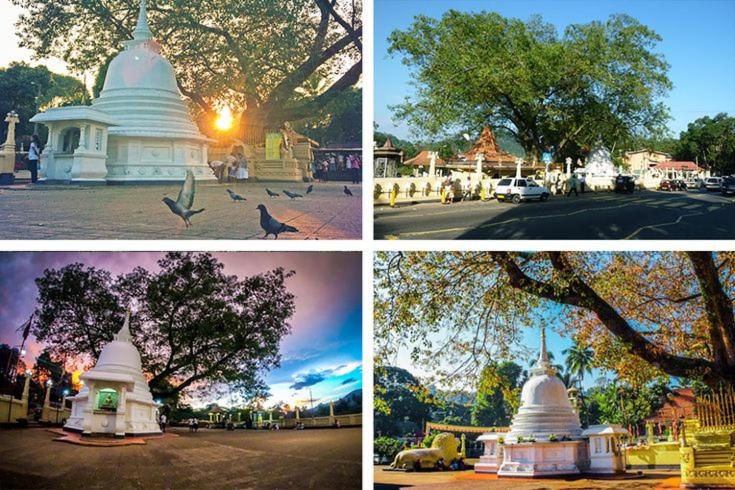 Kandy Paradise Resort & Spa
