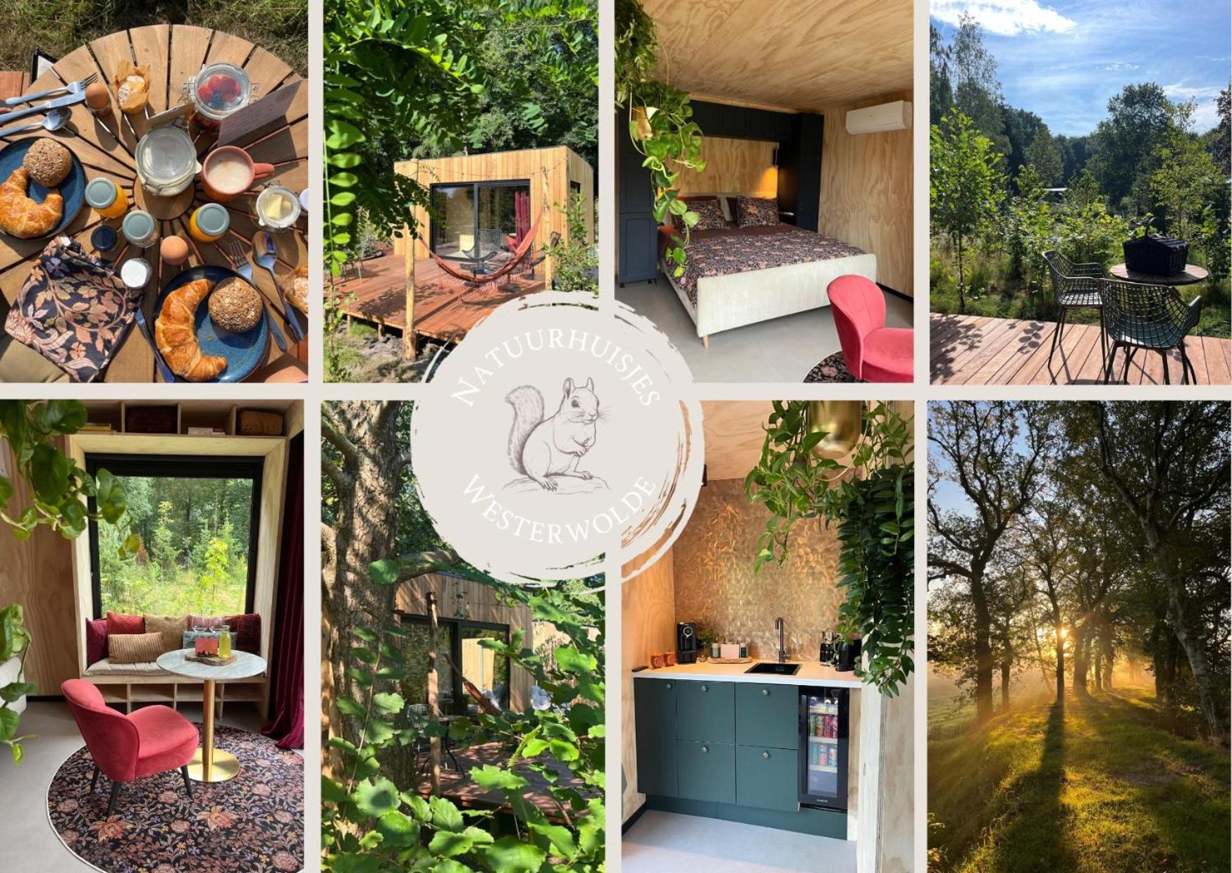 Natuurhuisjes Westerwolde, Tiny House & Privé Wellnesstuin