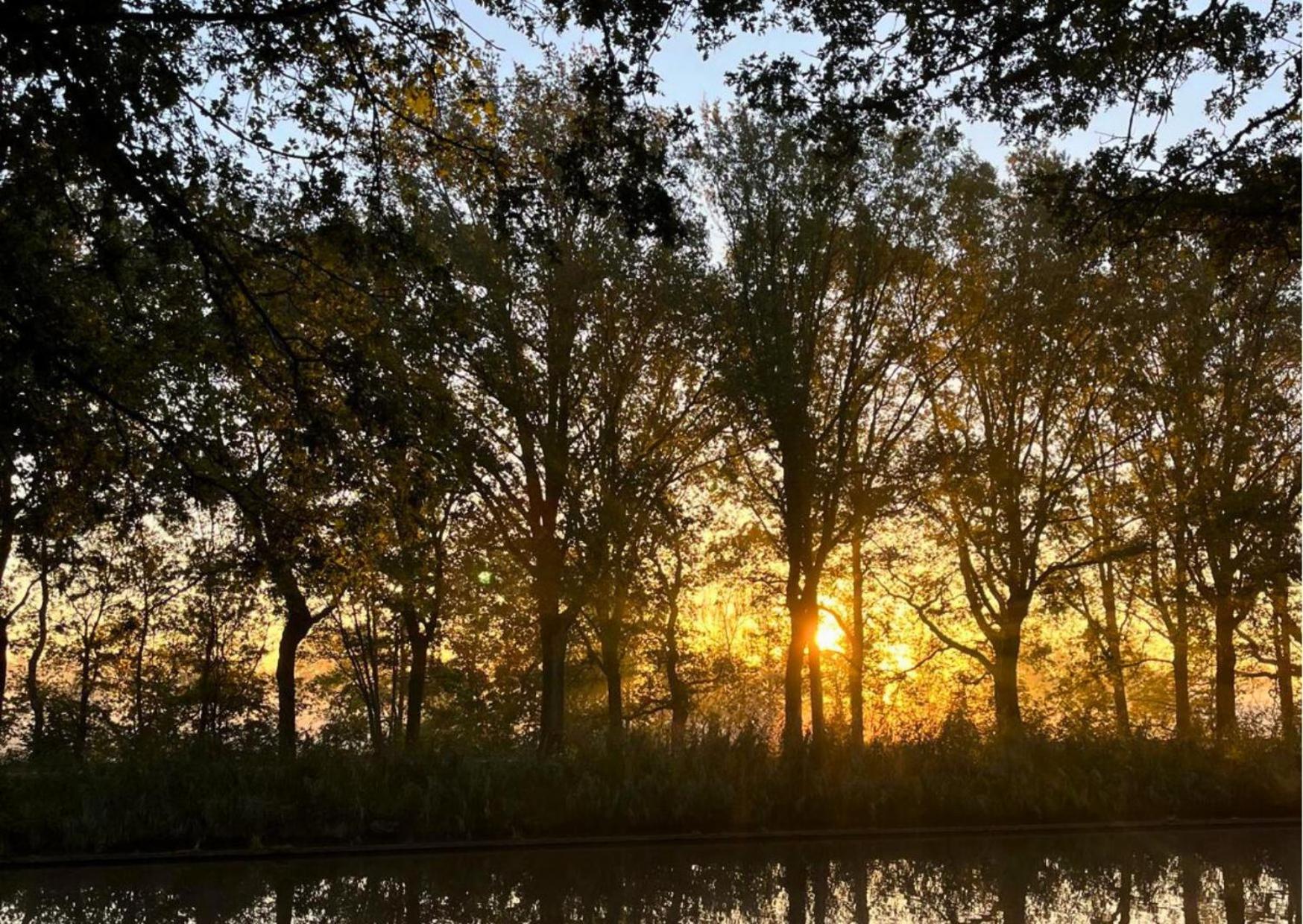 Natuurhuisjes Westerwolde, Tiny House & Privé Wellnesstuin