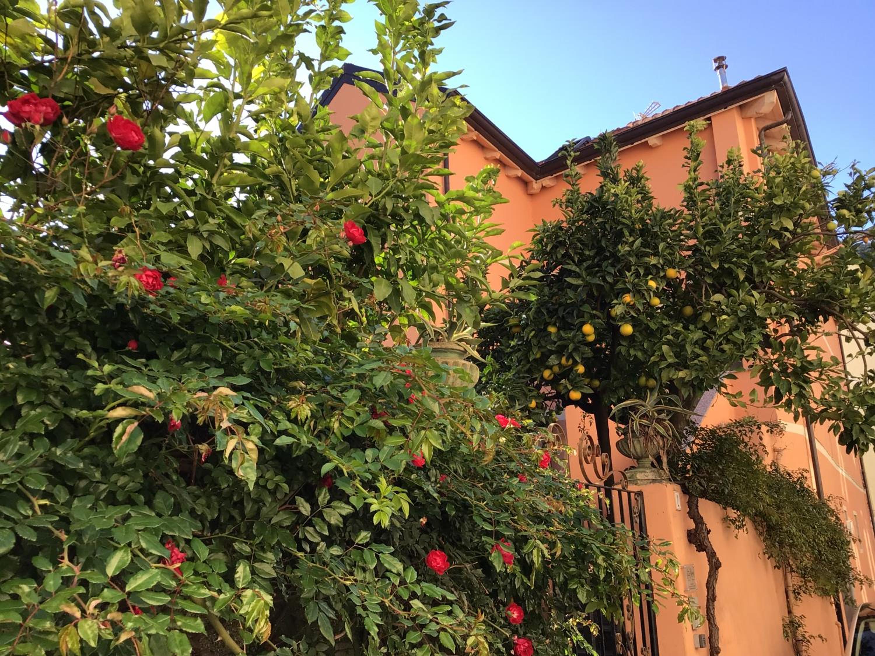 Photo 38