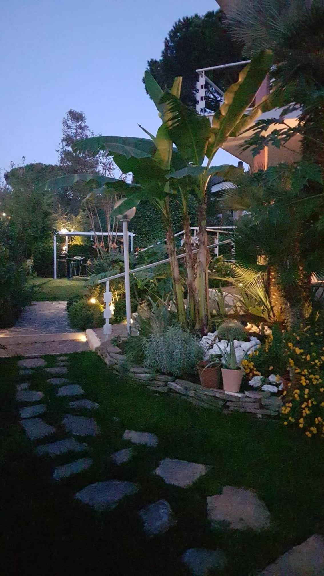 Roma - Casalpalocco - Amipsia view 5