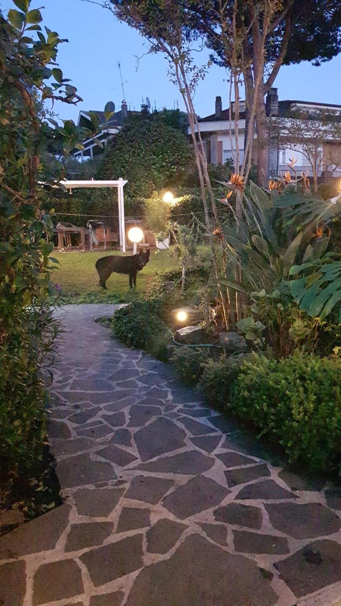 Photo 8