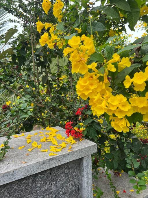 Farm stay near Banglore - Rollinia by Kilukka Farms view 4