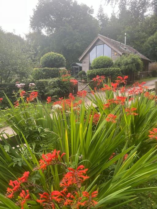Woodside, surrounded by woodland and beautiful gardens view 2