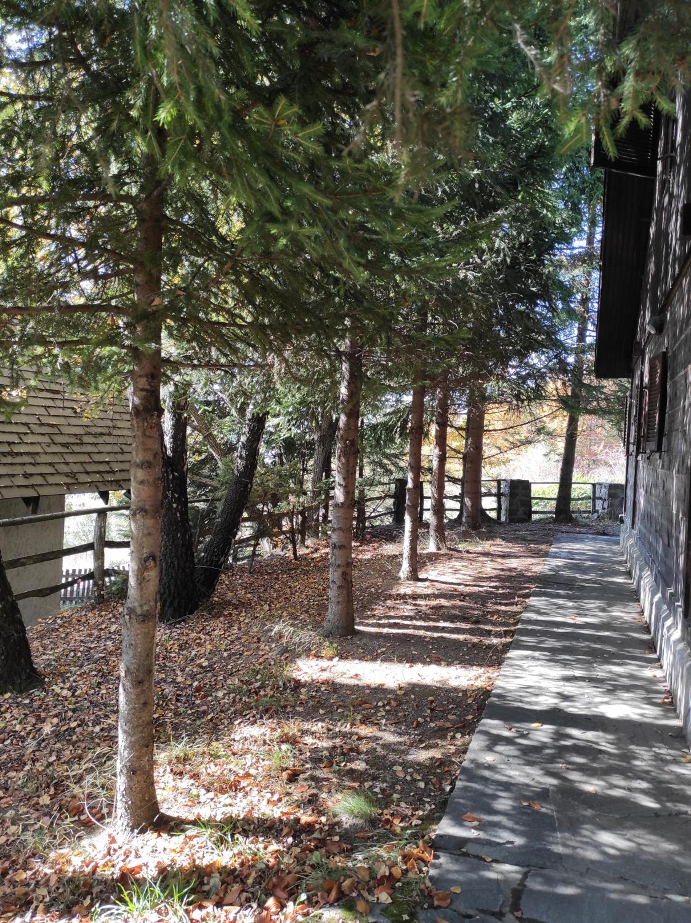 Drvenica Cabin